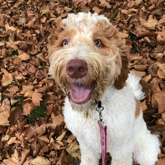 Meet your Posher, Kim - Picture 1 of 1